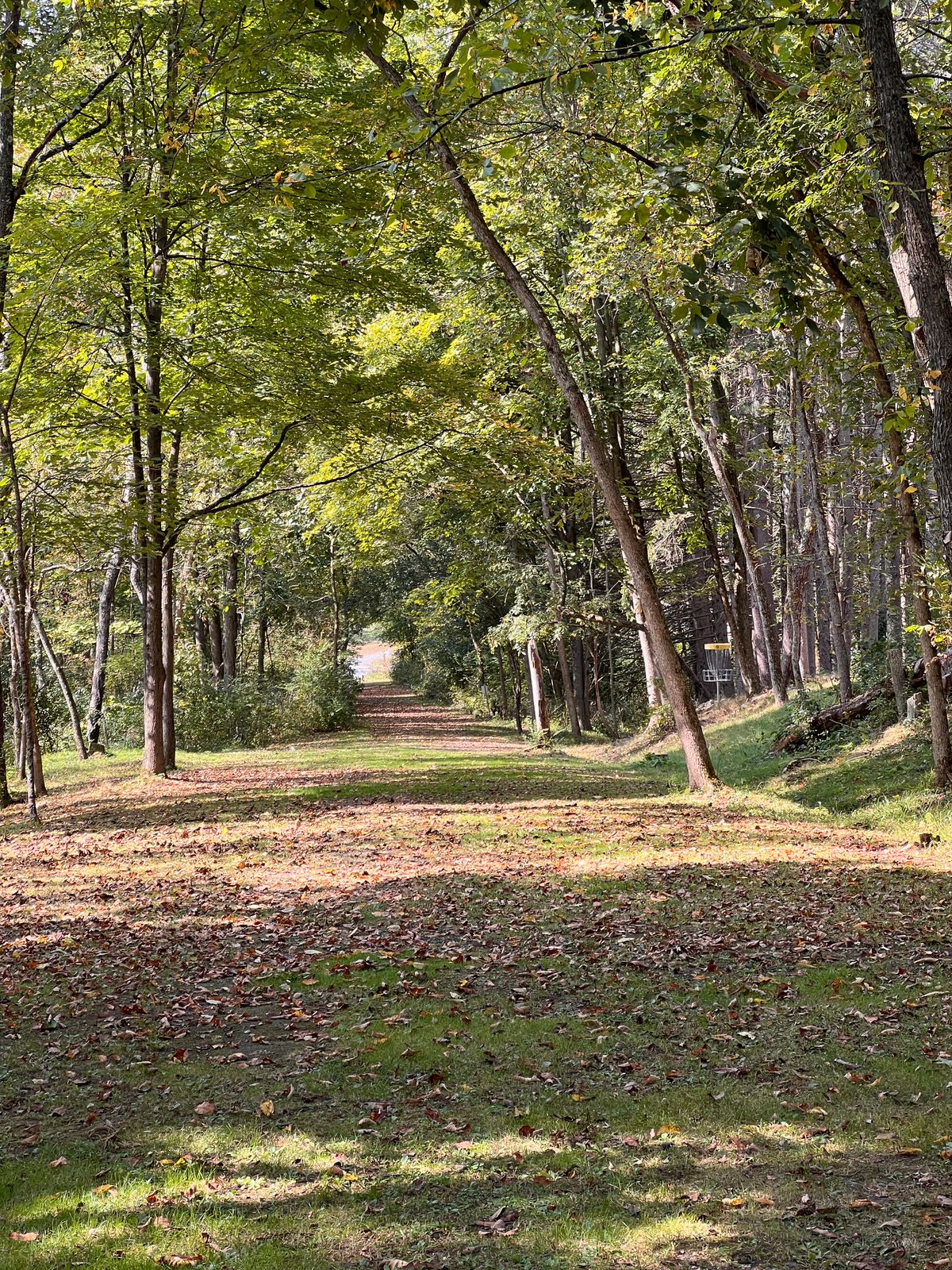 Hole 9