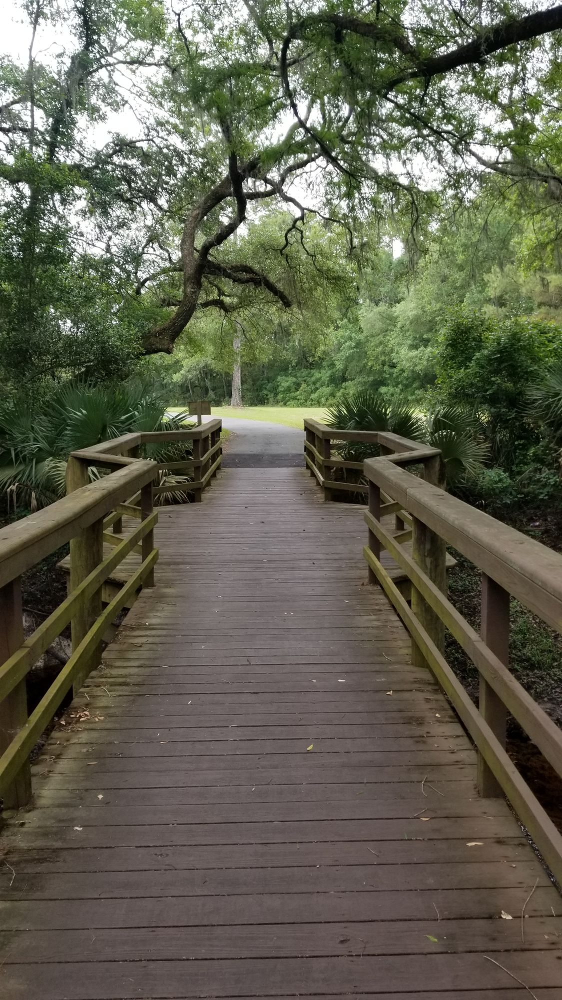 A beautiful little bridge.