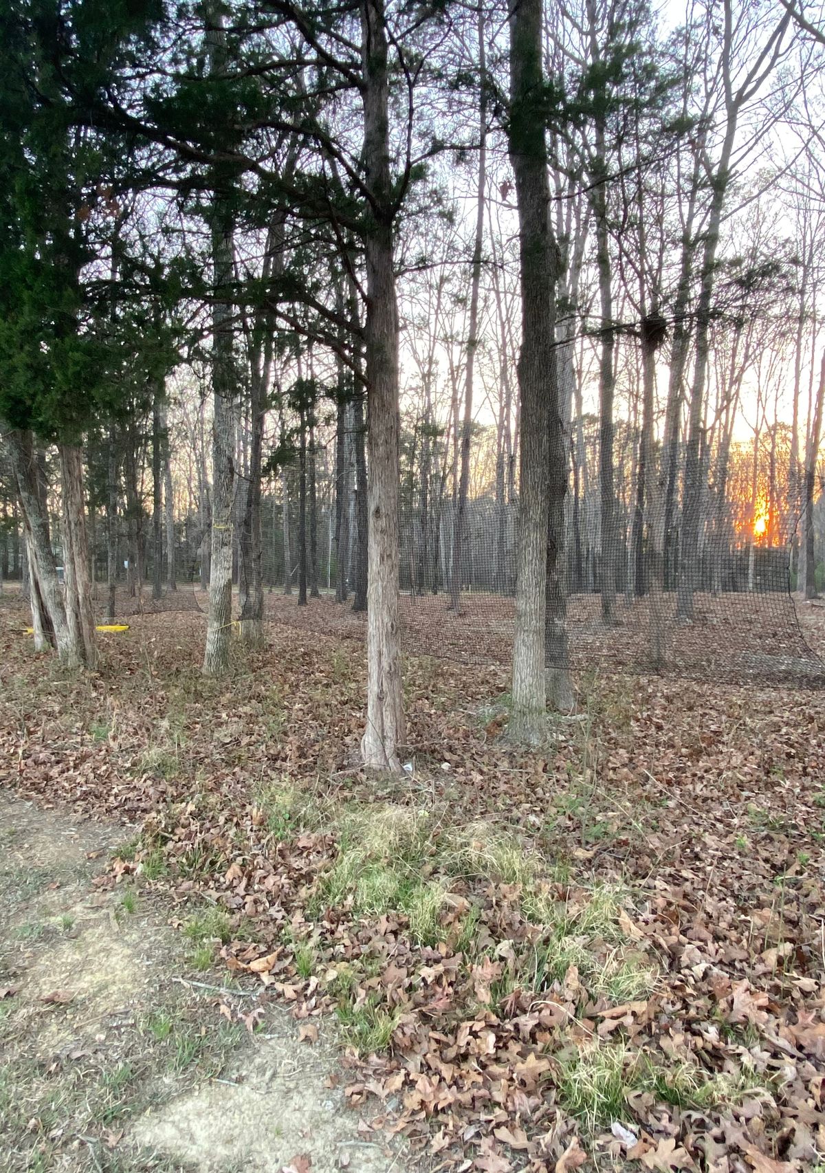 Netting along the left side of hole 2’s fairway