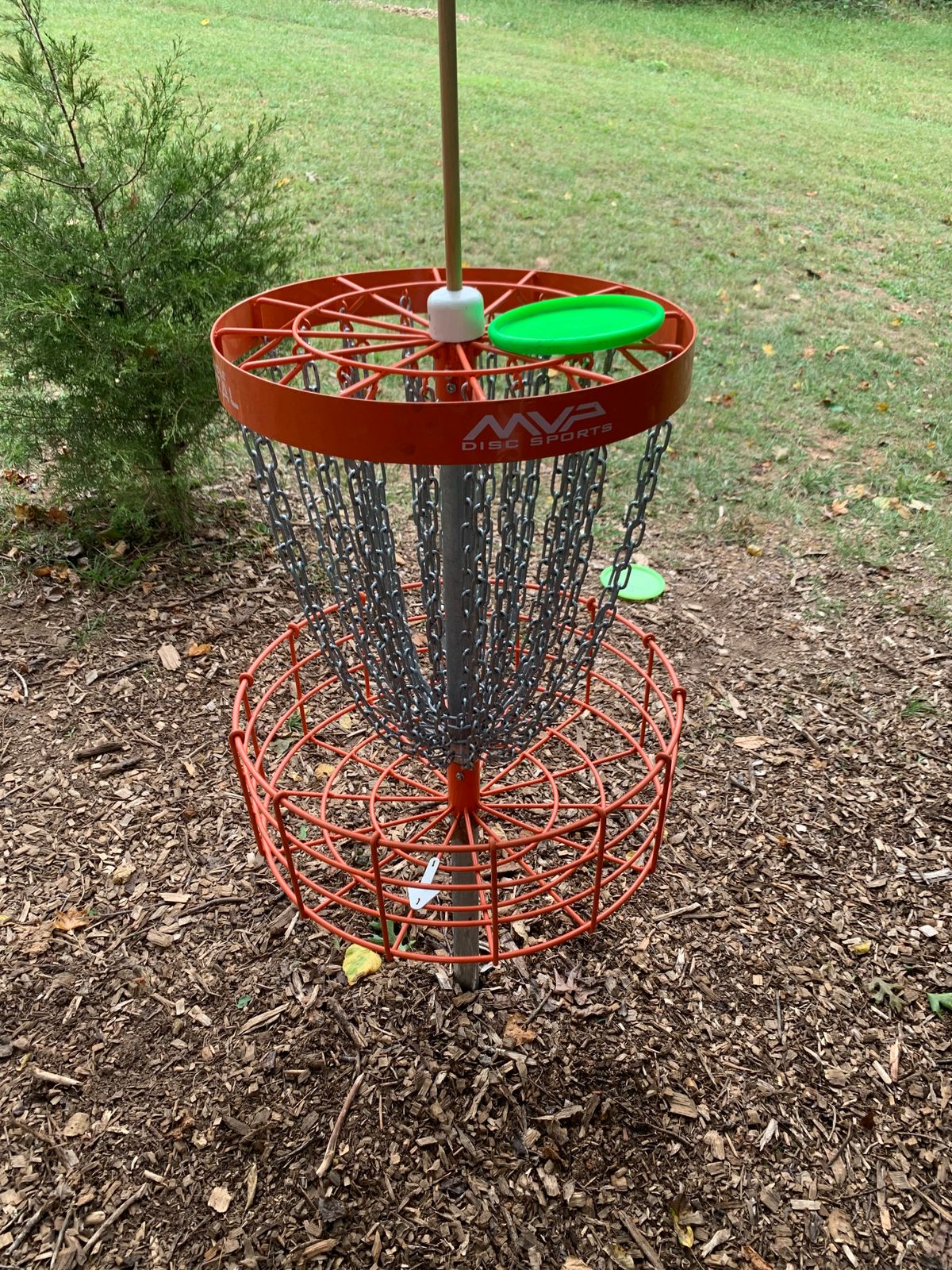 The baskets are in great shape