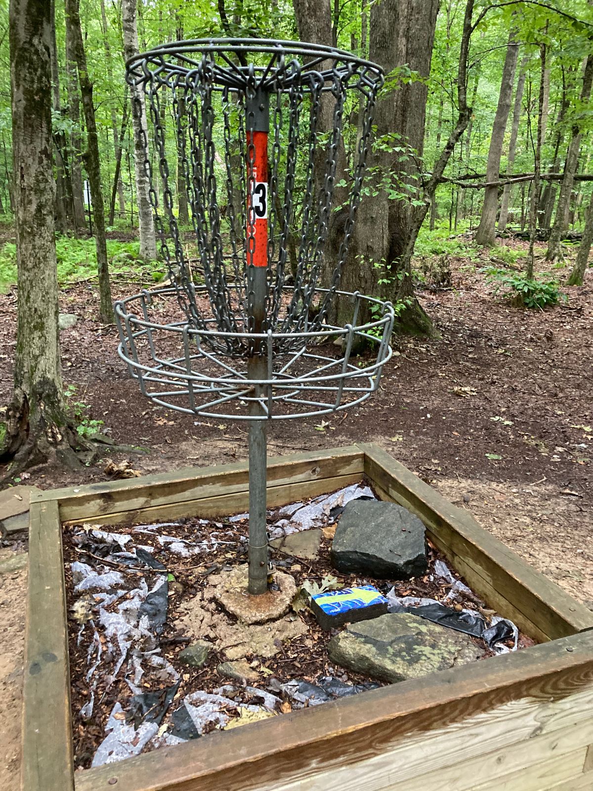 Basket 3. Elevated.