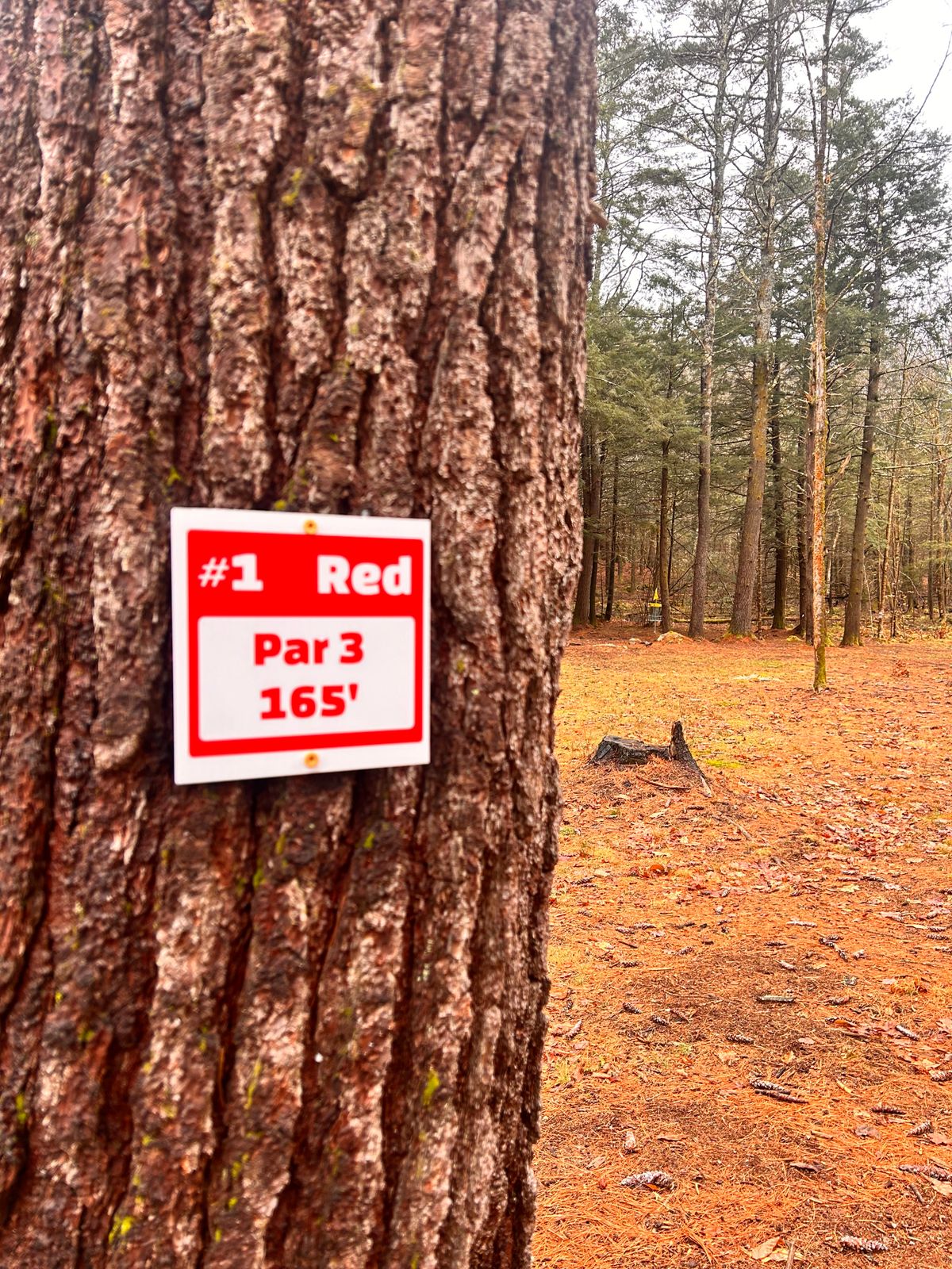 Red Tee’s New Signs