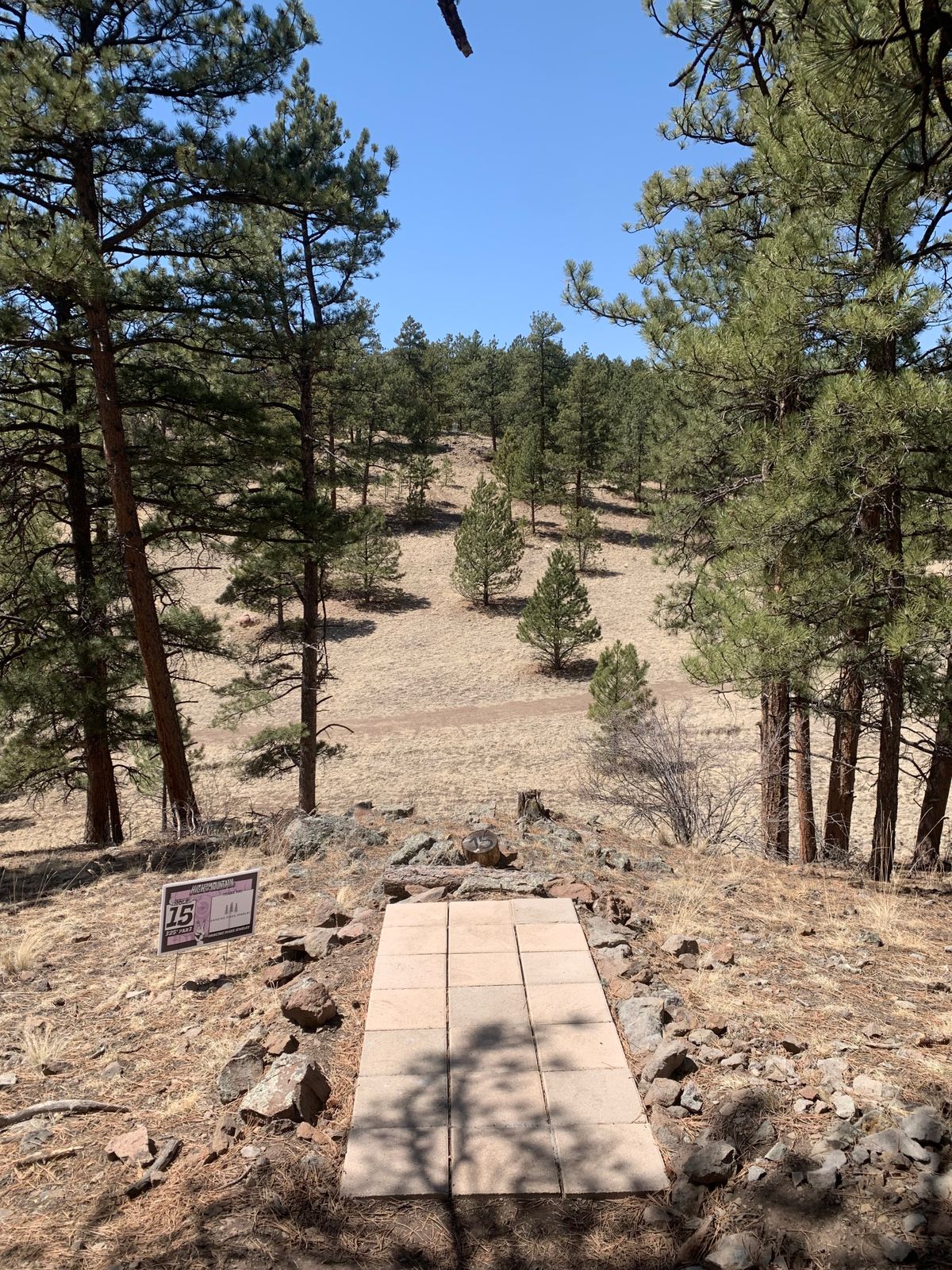 Elevated tee box to more elevated basket across a valley for a 325’ par 4.