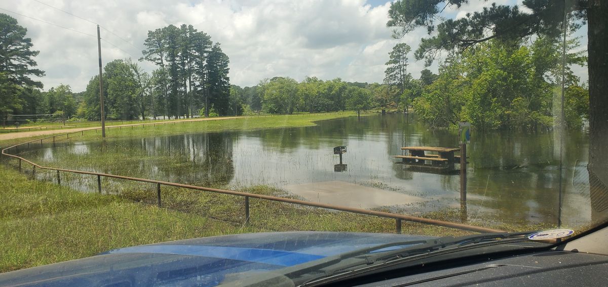 Hole 5 tee.