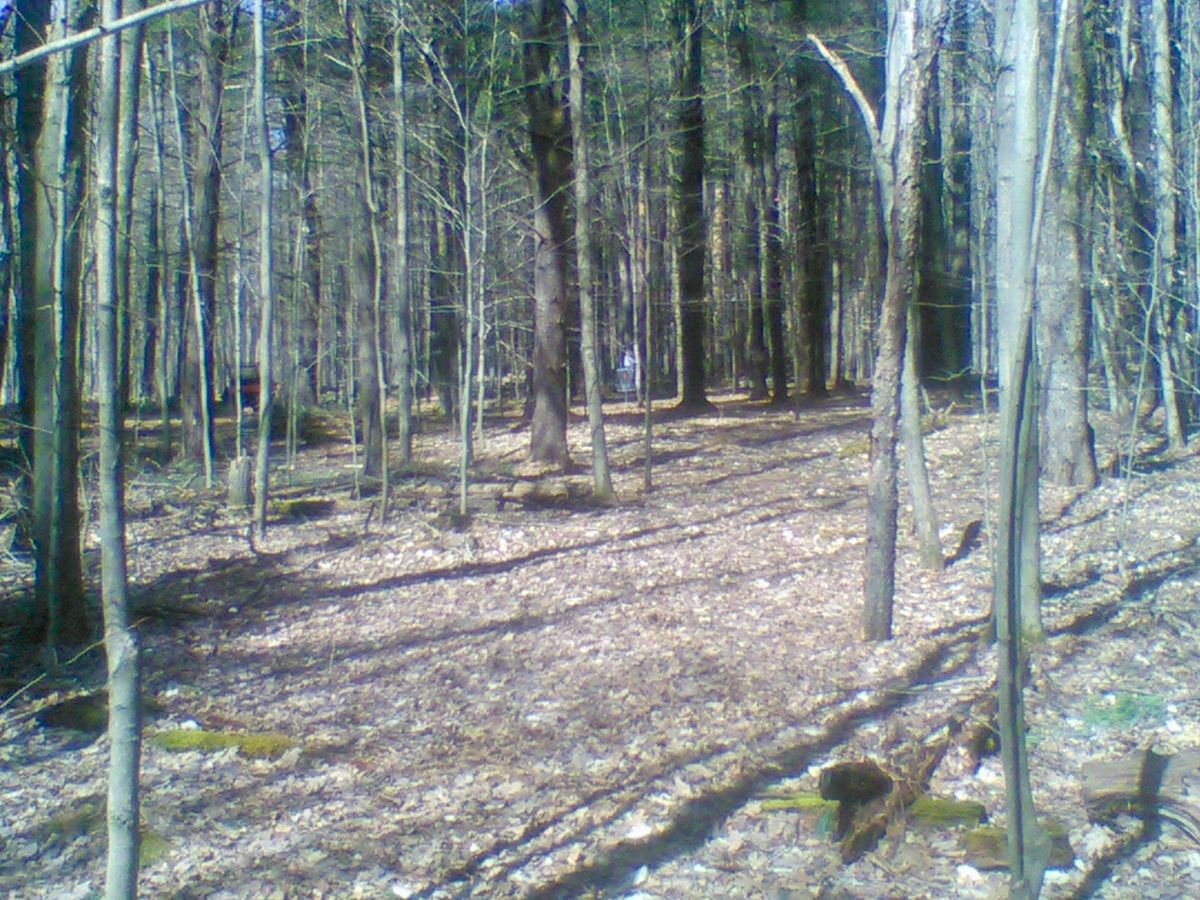 Hole 5