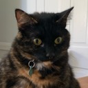 User avatar image