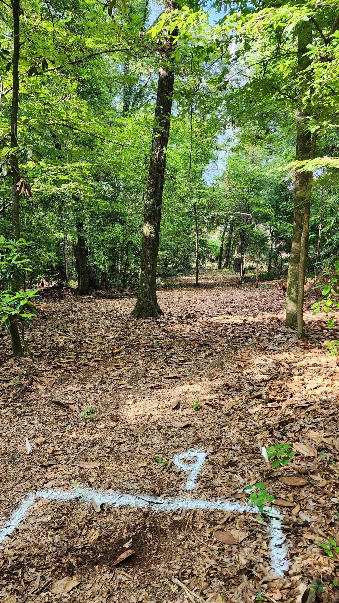 Hole 9 279'