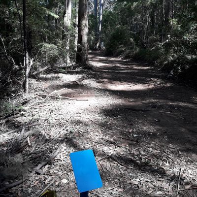 Course photo