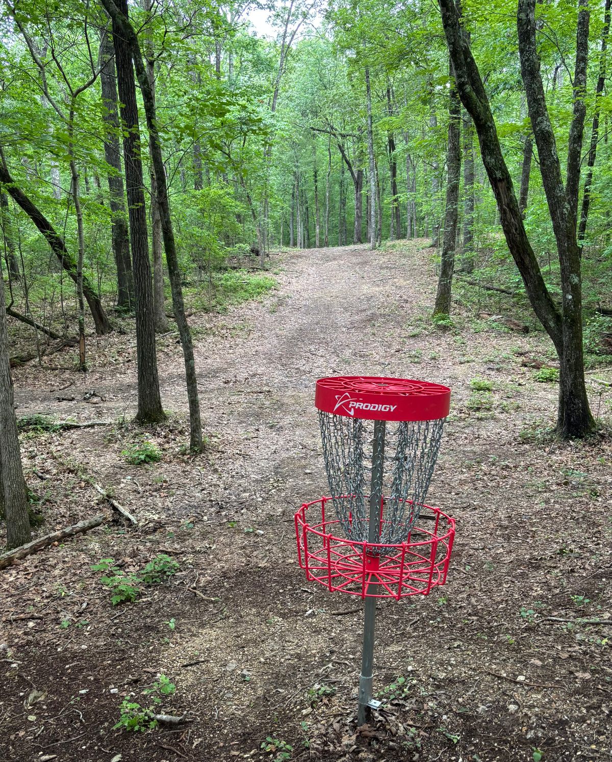 Hole #14 Basket to Tee