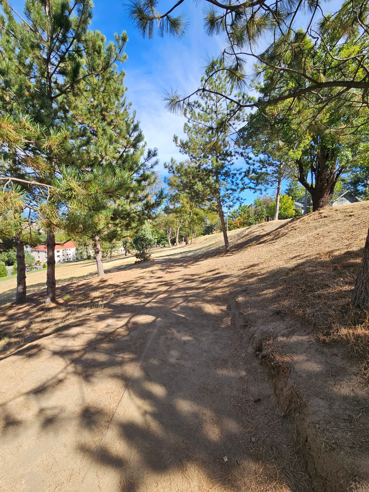 Tee 1