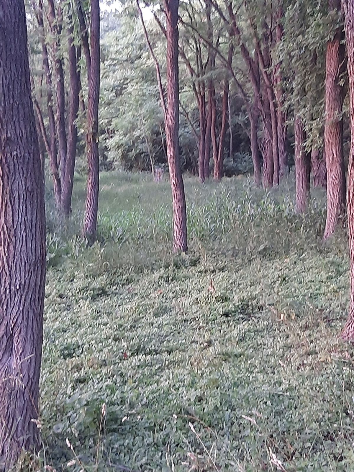 Hole 3 from the bottom of the hill.