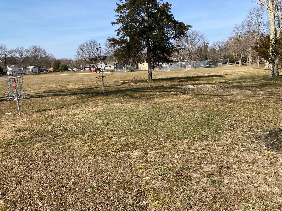 Tee 3 (marker covered over by new tree)