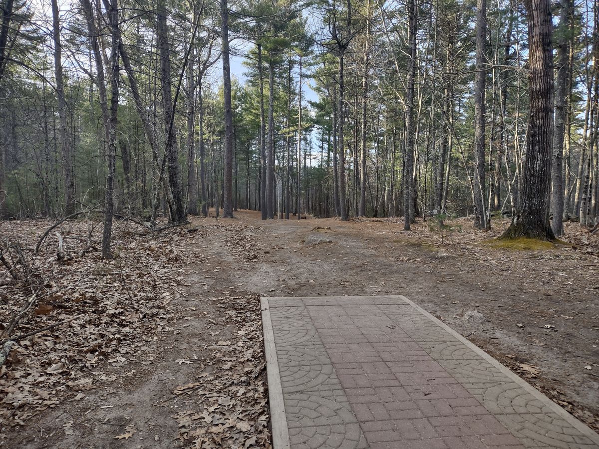 Hole 12