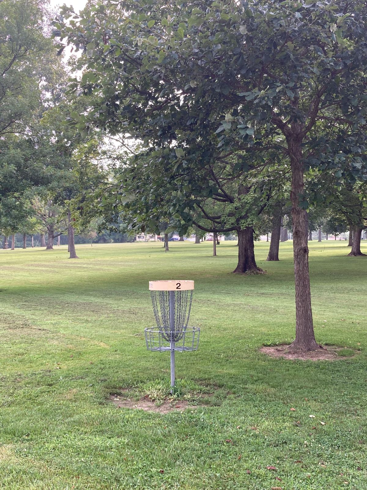 Hole 2’s basket from the walking path