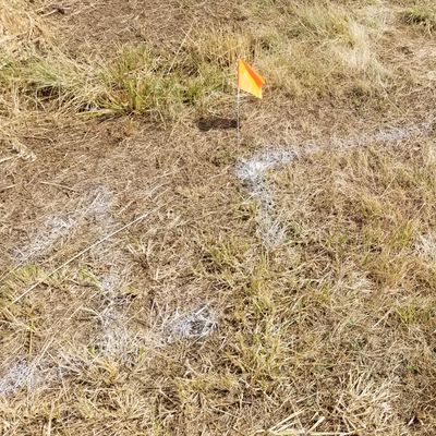 Tee box market for improvement