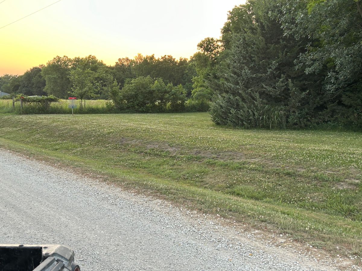Hole #8 B basket look from midway point