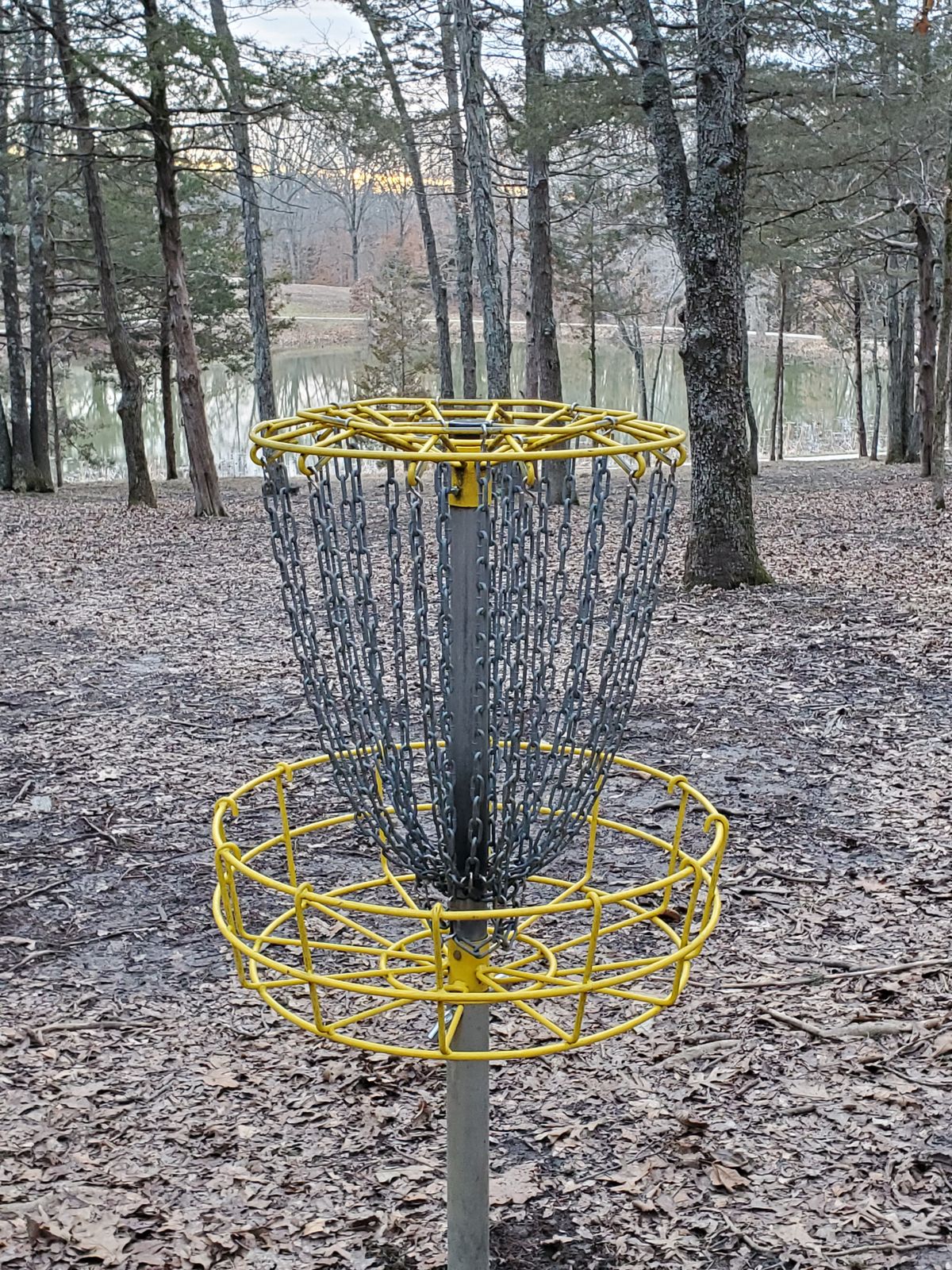 Looking back at the pond from basket on 16