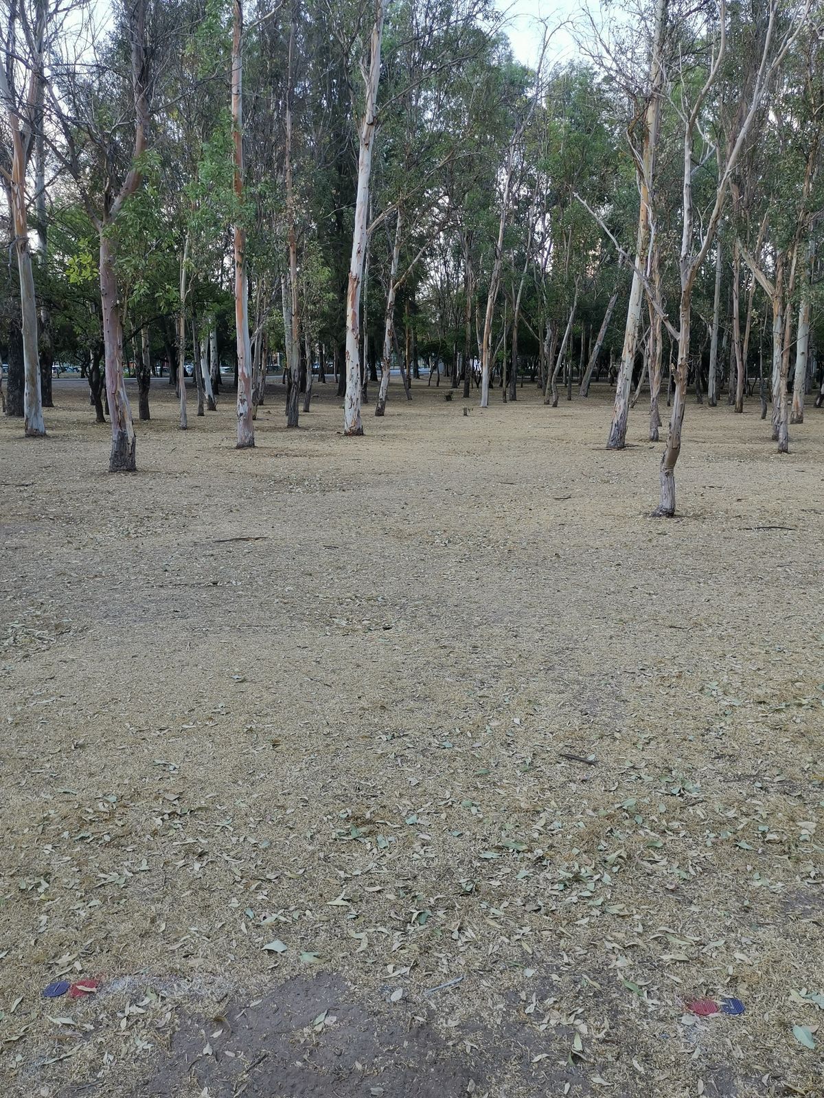 Tee H16
