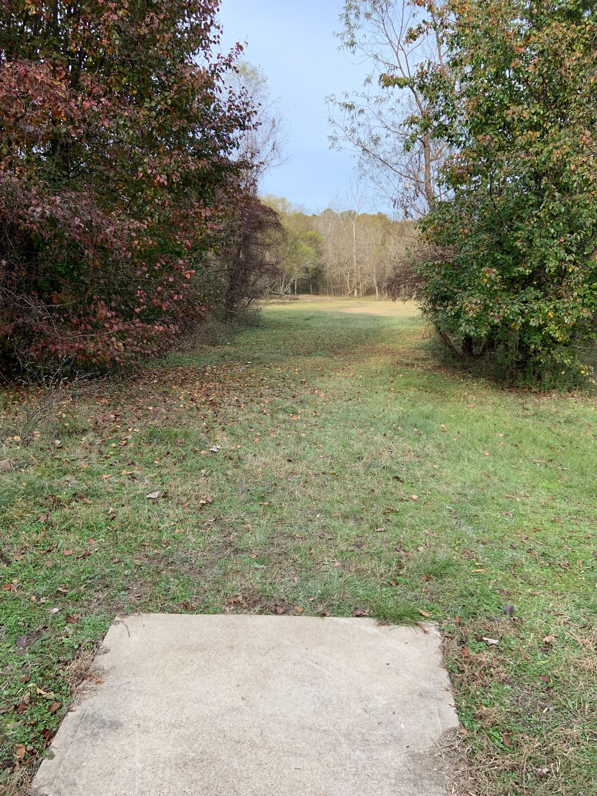 Hole 5