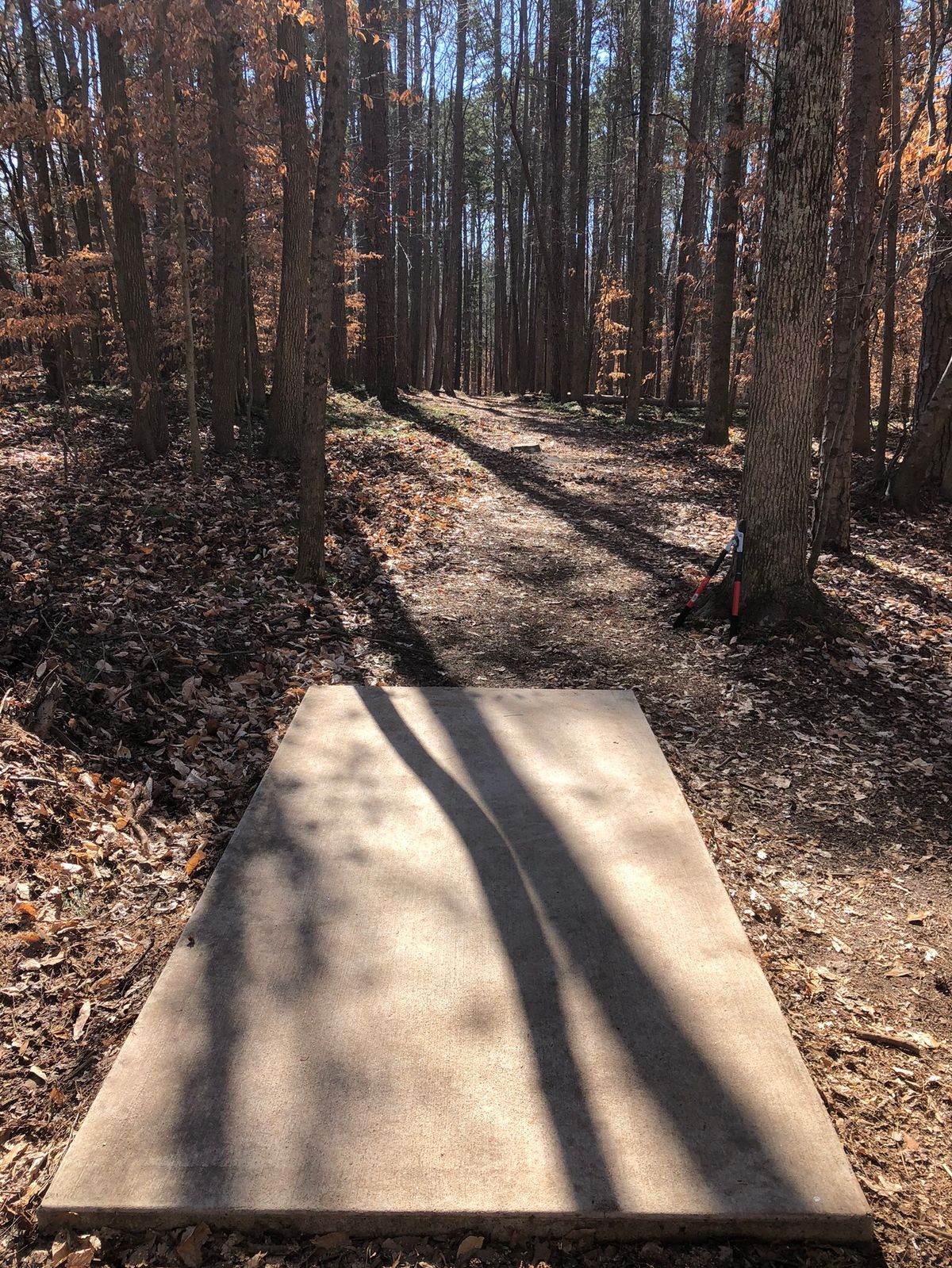 Hole 16 straight shot