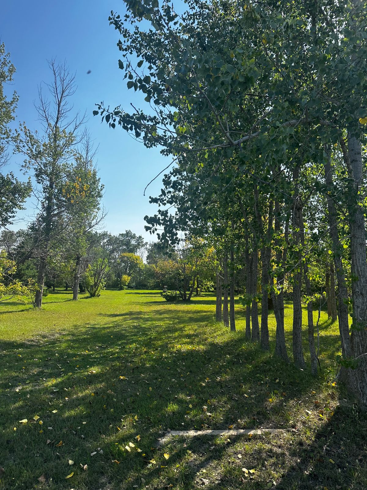 Hole 4