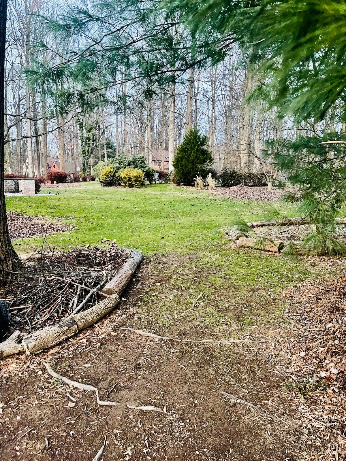 Hole 4 Teebox area 