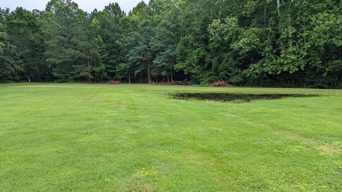 Hole 6 red tee.