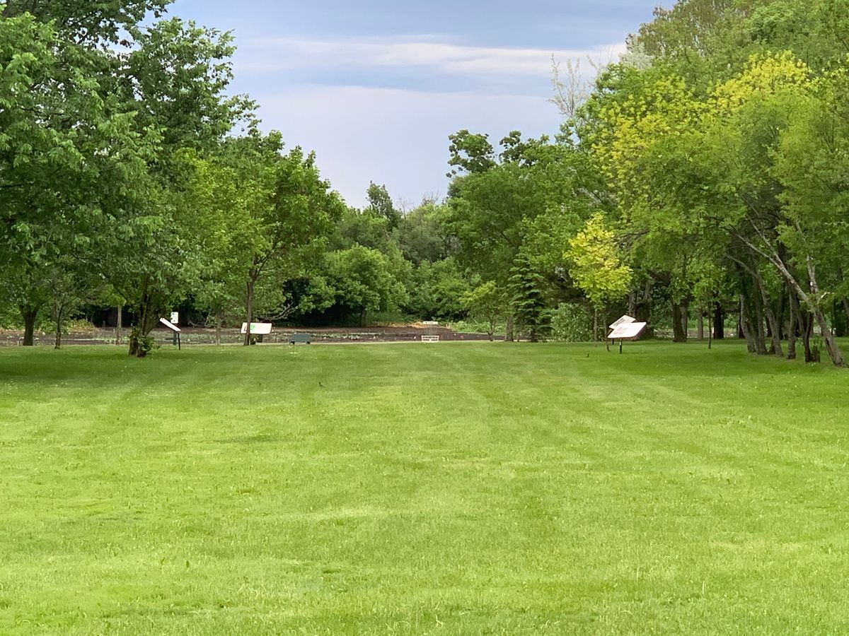 View of #5 basket from the tee
