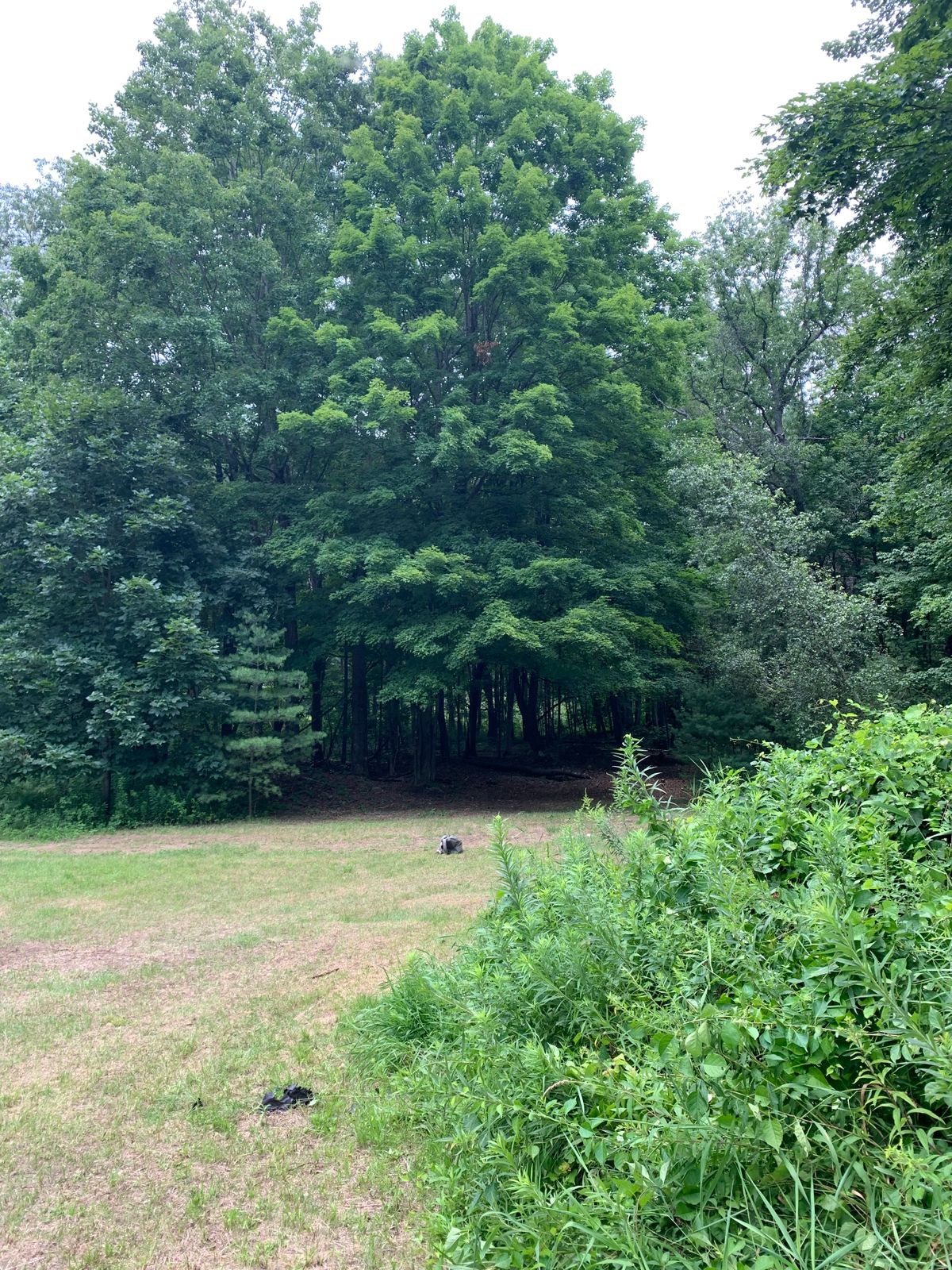 Hole 10