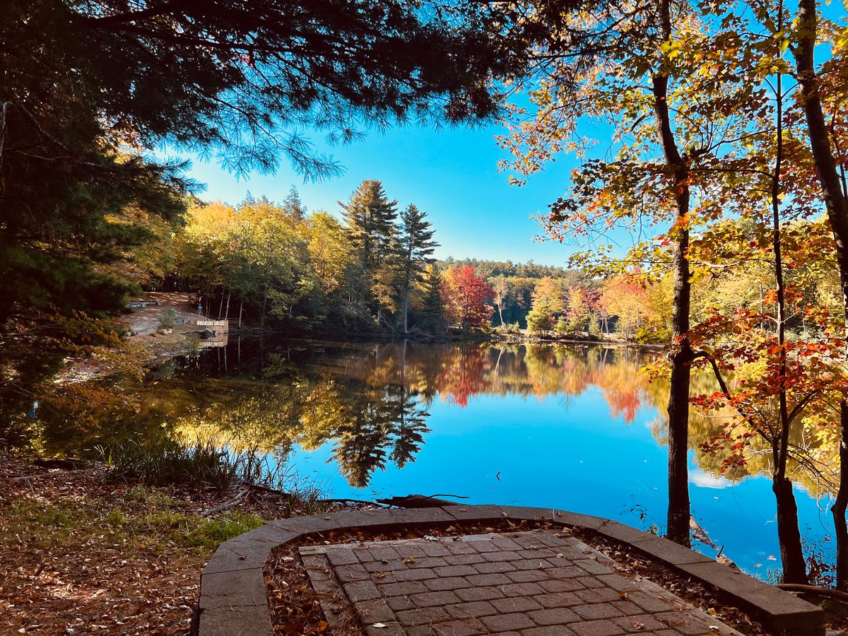 Hole 14 Diamonds tee pad