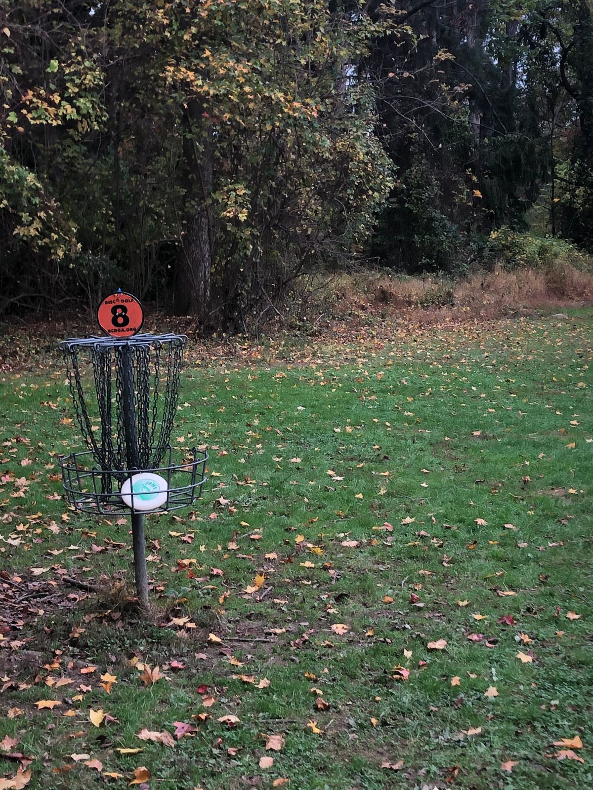 Great little course