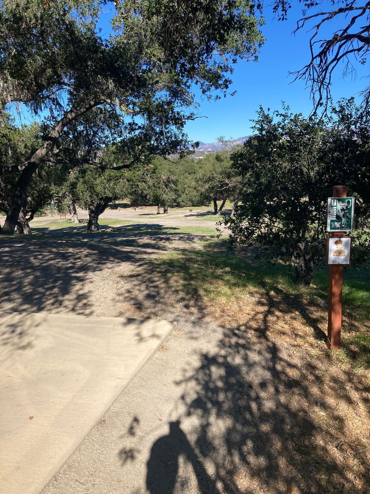 Hole 7