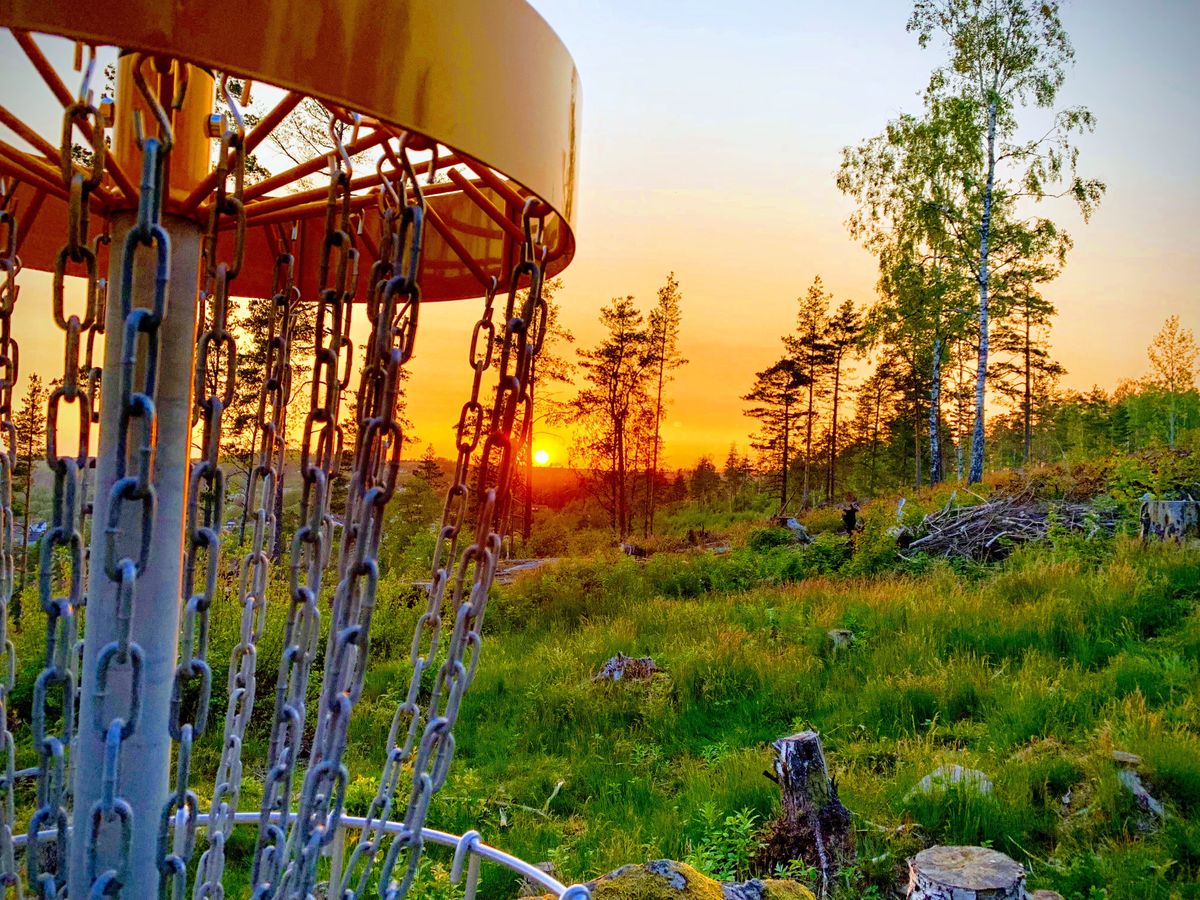 Basket 6.