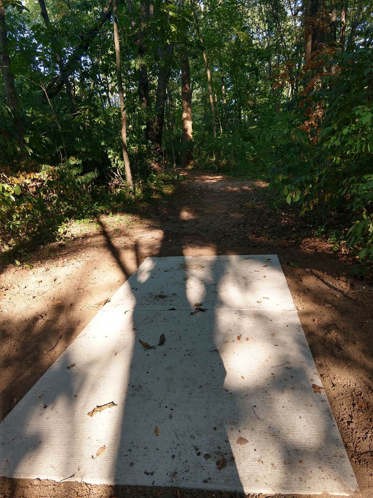 Hole 11