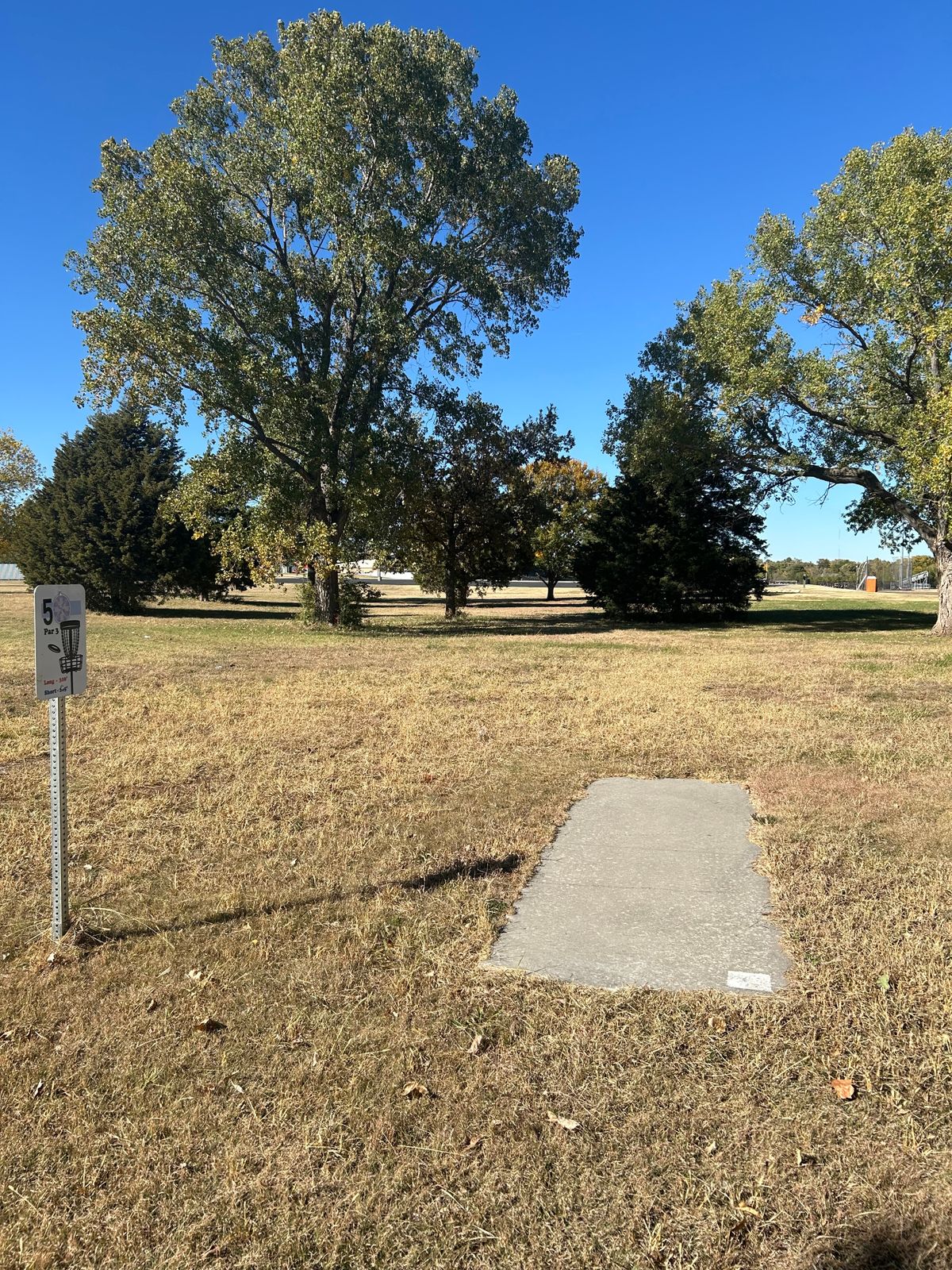 Hole 5 tee