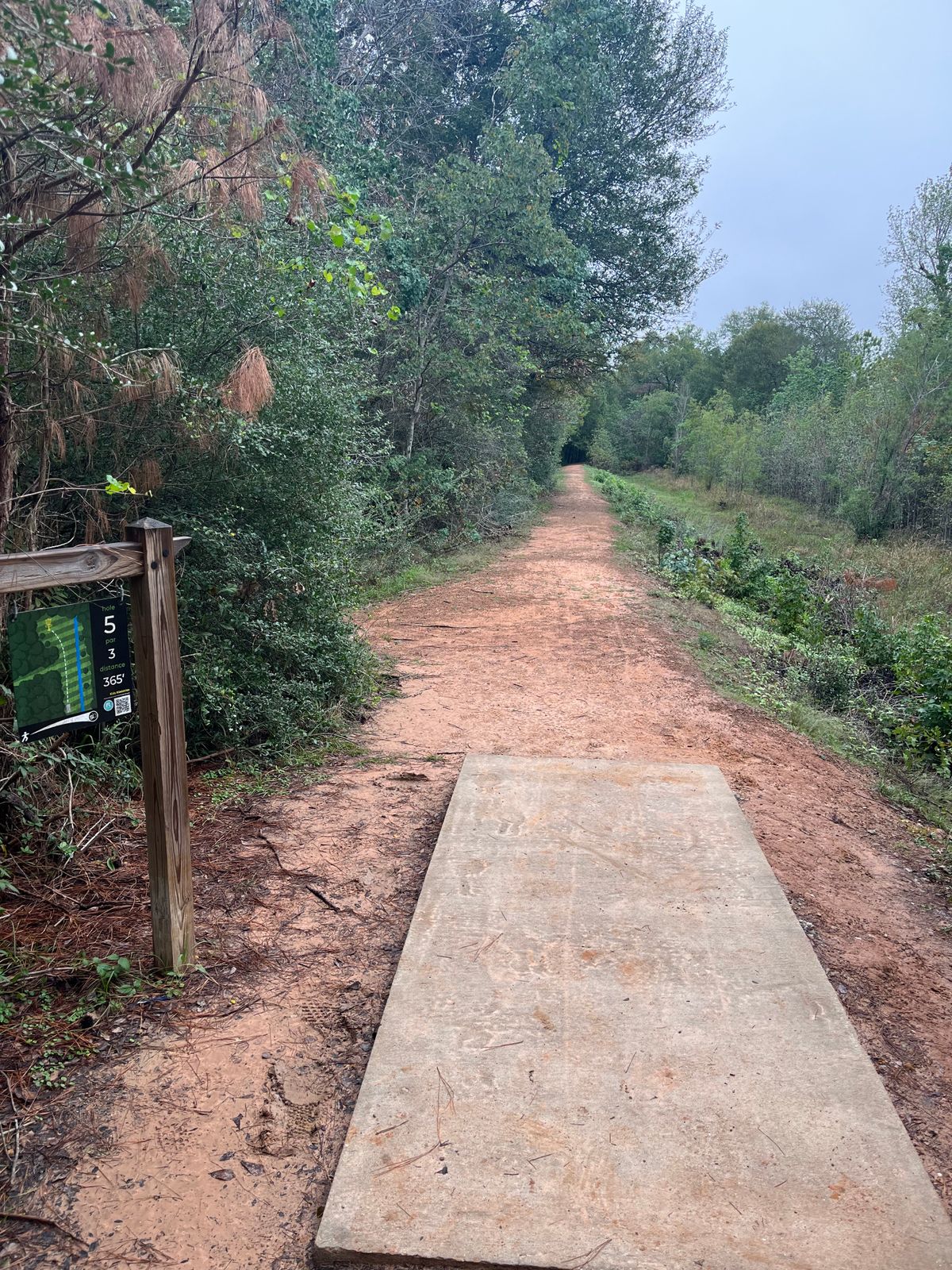 Hole 5 11/11/23