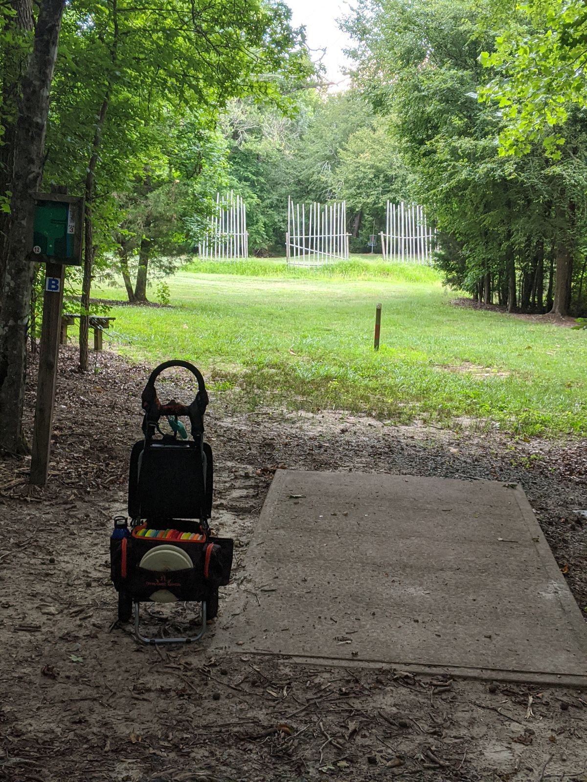 Hole 12 tee