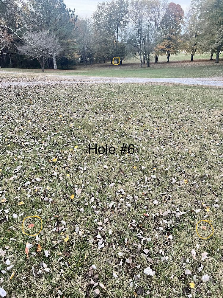 Hole 6