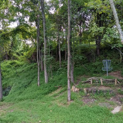 The iconic Westleigh Wood basket at 6, and the swampy stairs to 7.