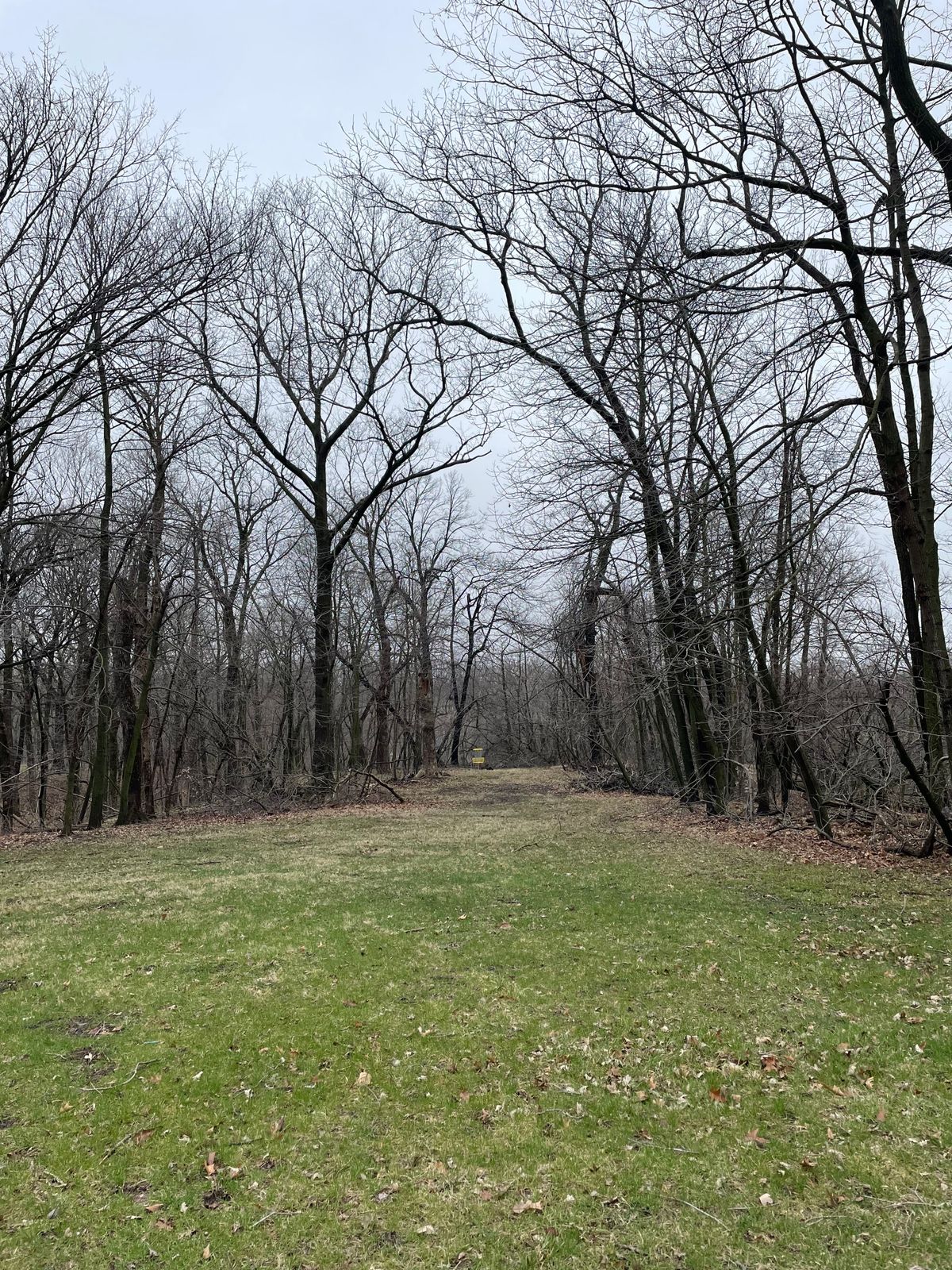 View of tunnel shot on new hole 13.