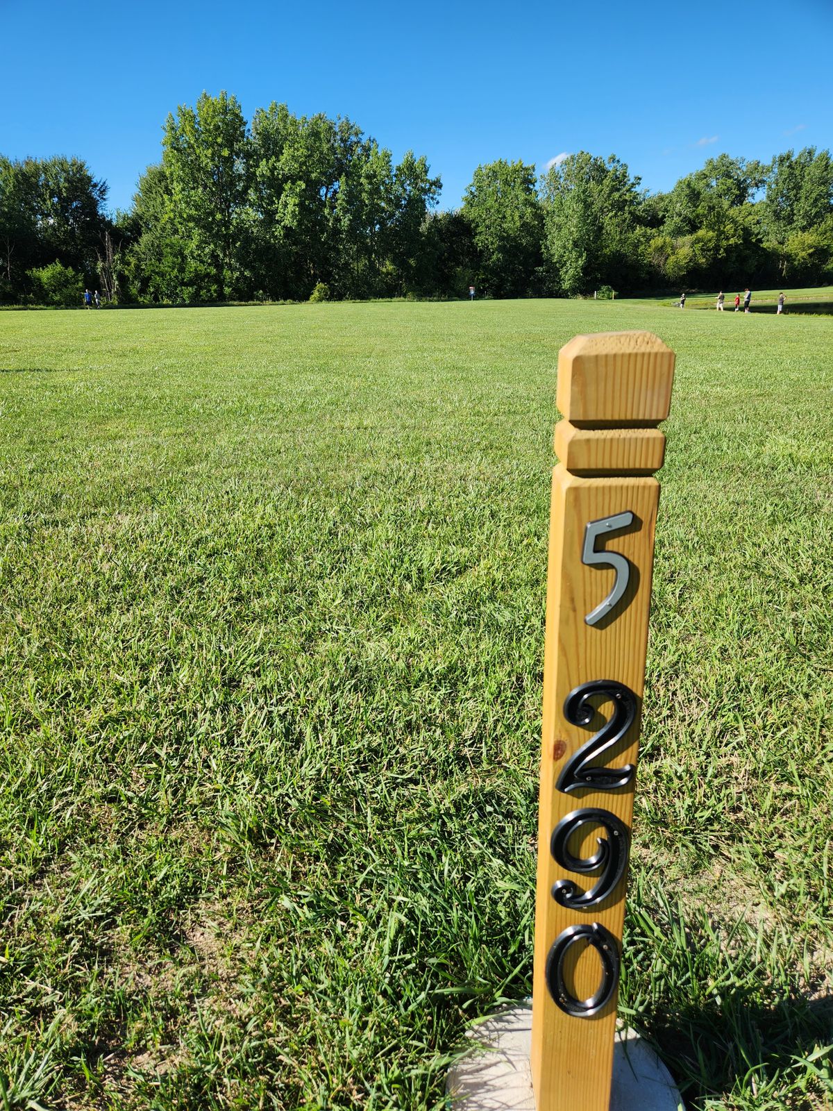 Hole 5 - 290ft - Tall grass play as hazard