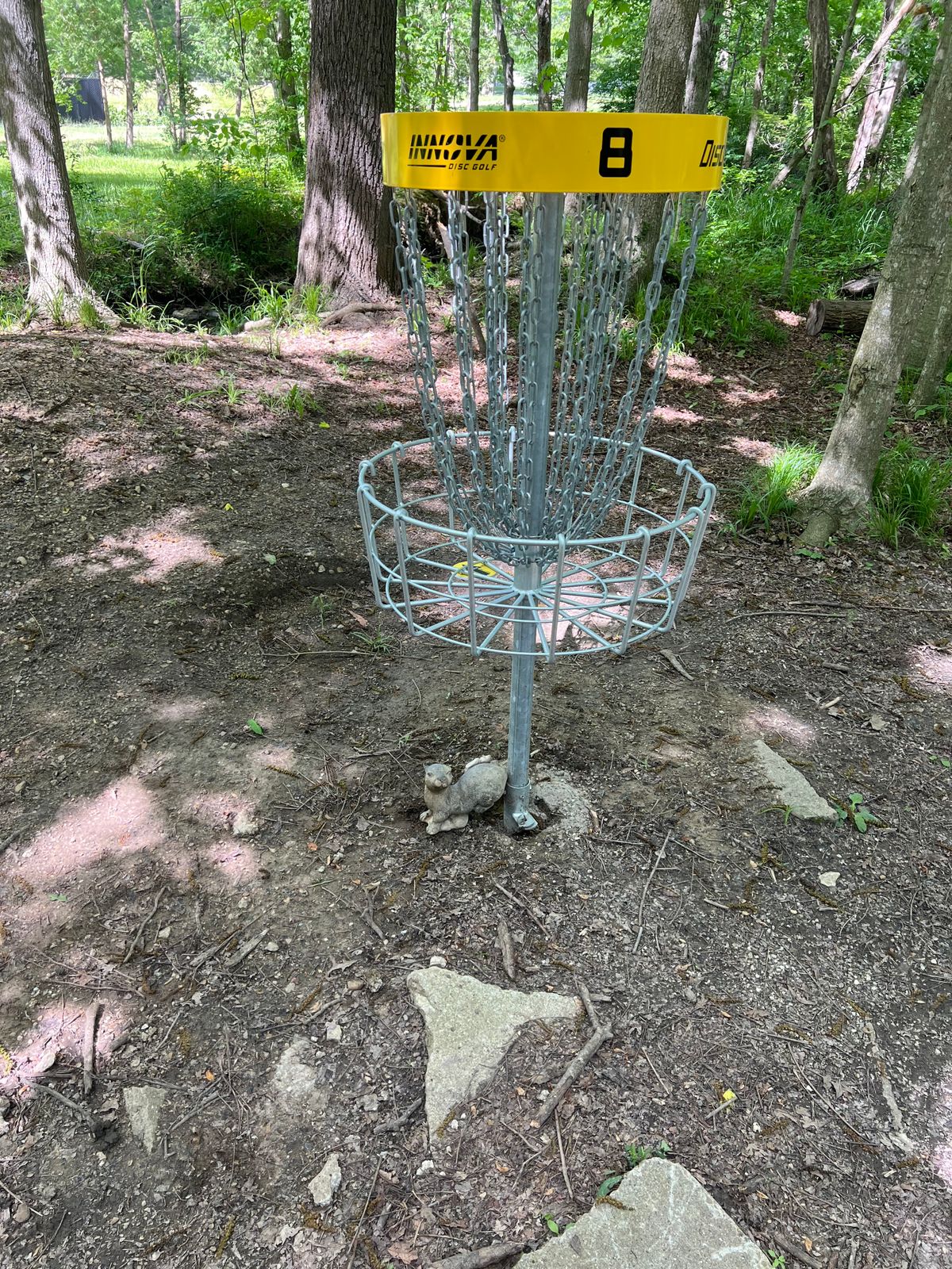 Otter on hole 8