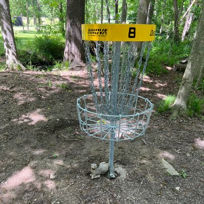 Otter on hole 8