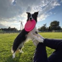 User avatar image