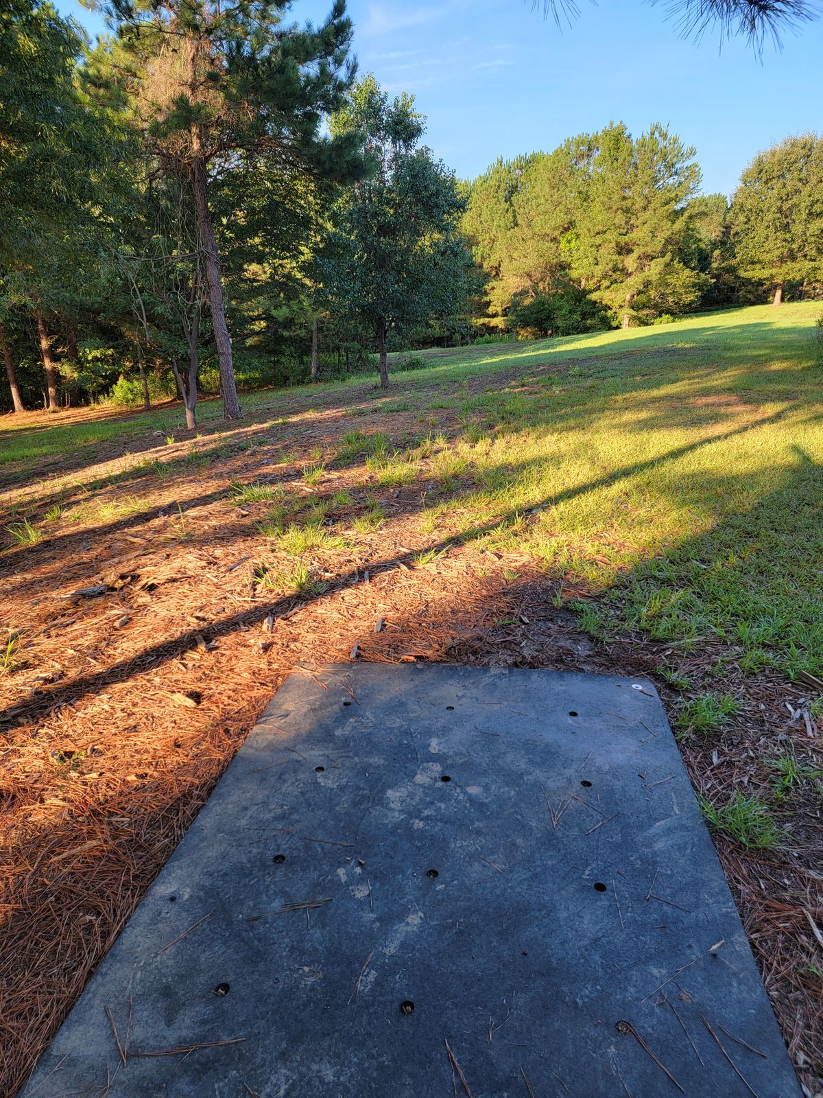 hole 1...short sharp dog leg left