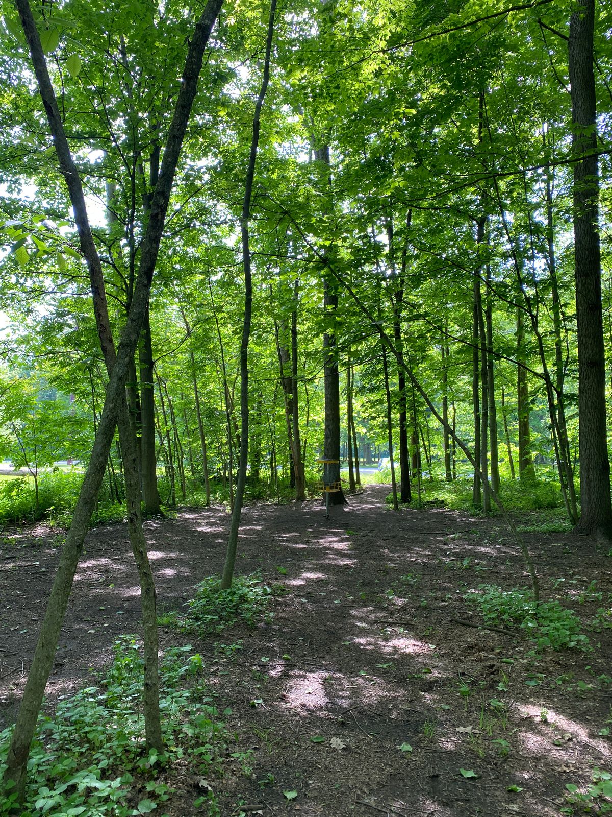 Hole 9 basket