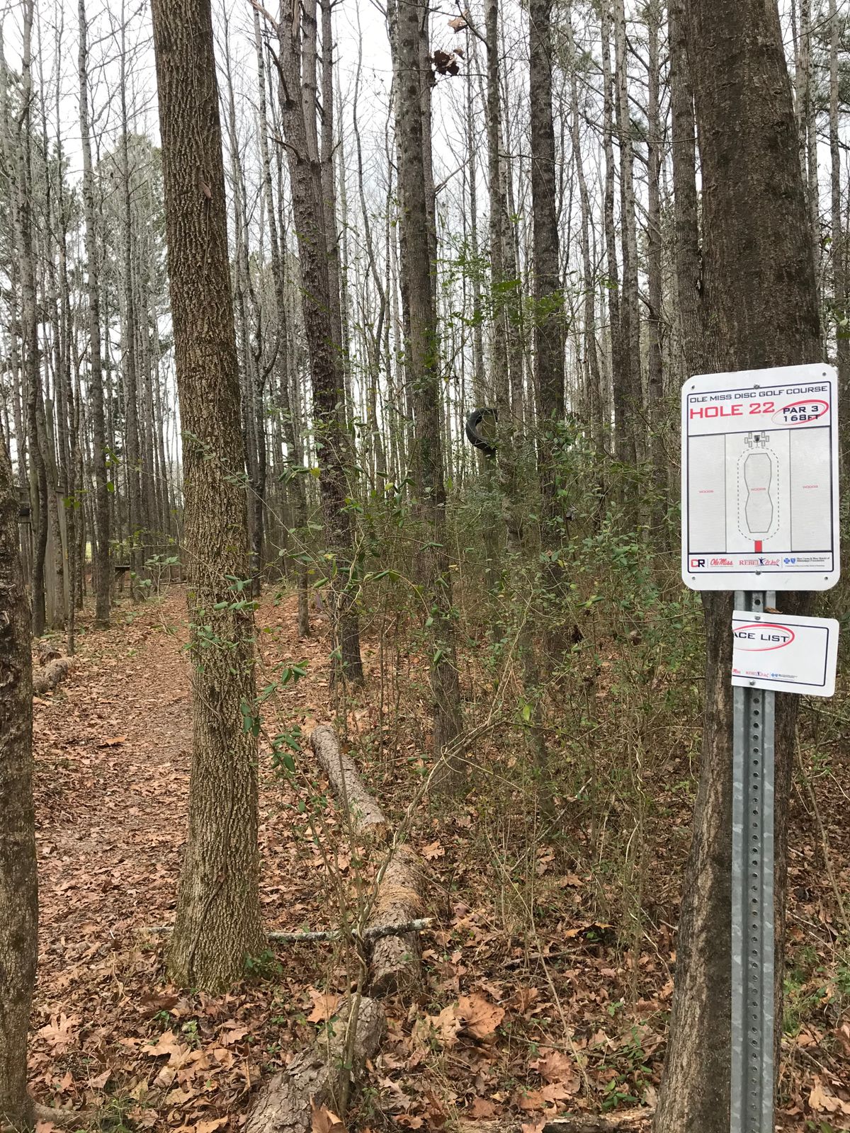 Hole 22