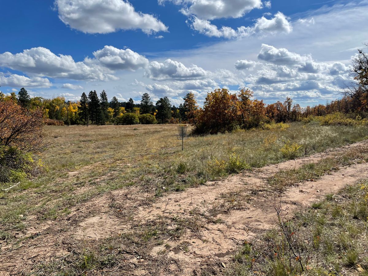 Hole 1 basket Silver Pick Disc Golf Course