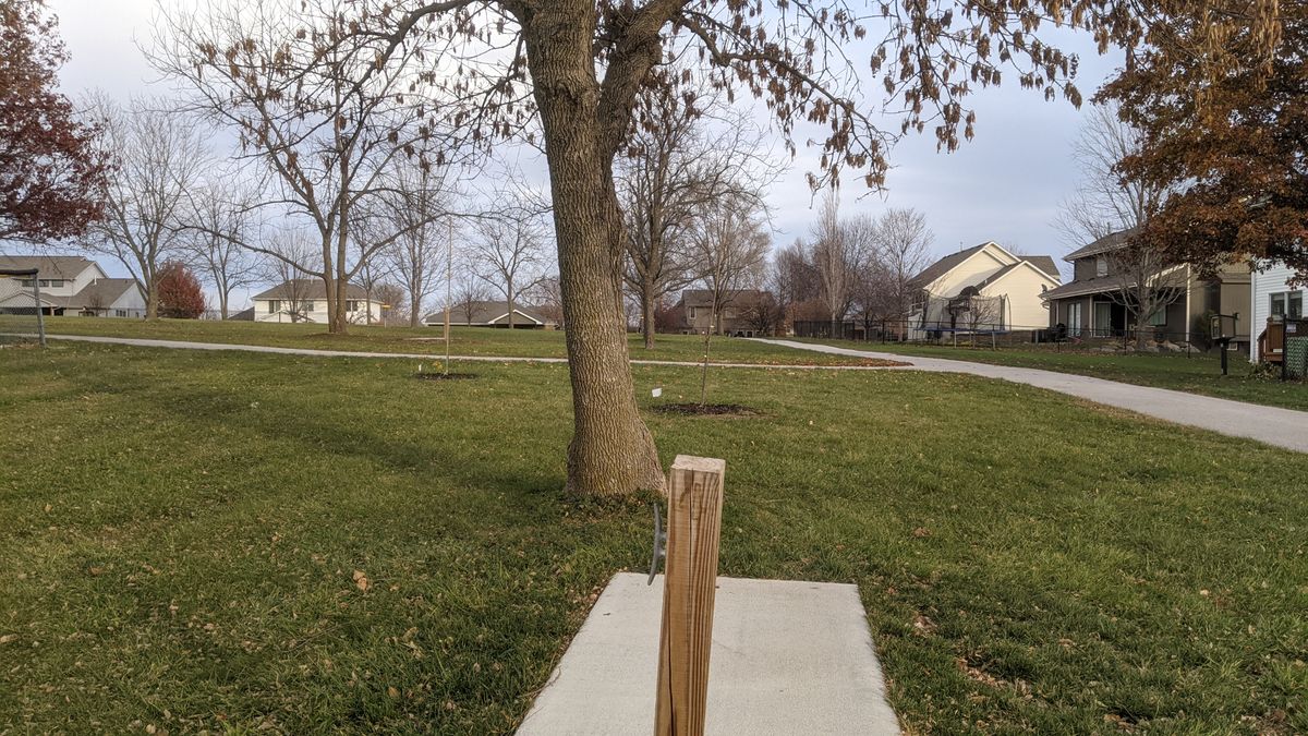 Tee #4. (Basket in line with post beyond last tree)