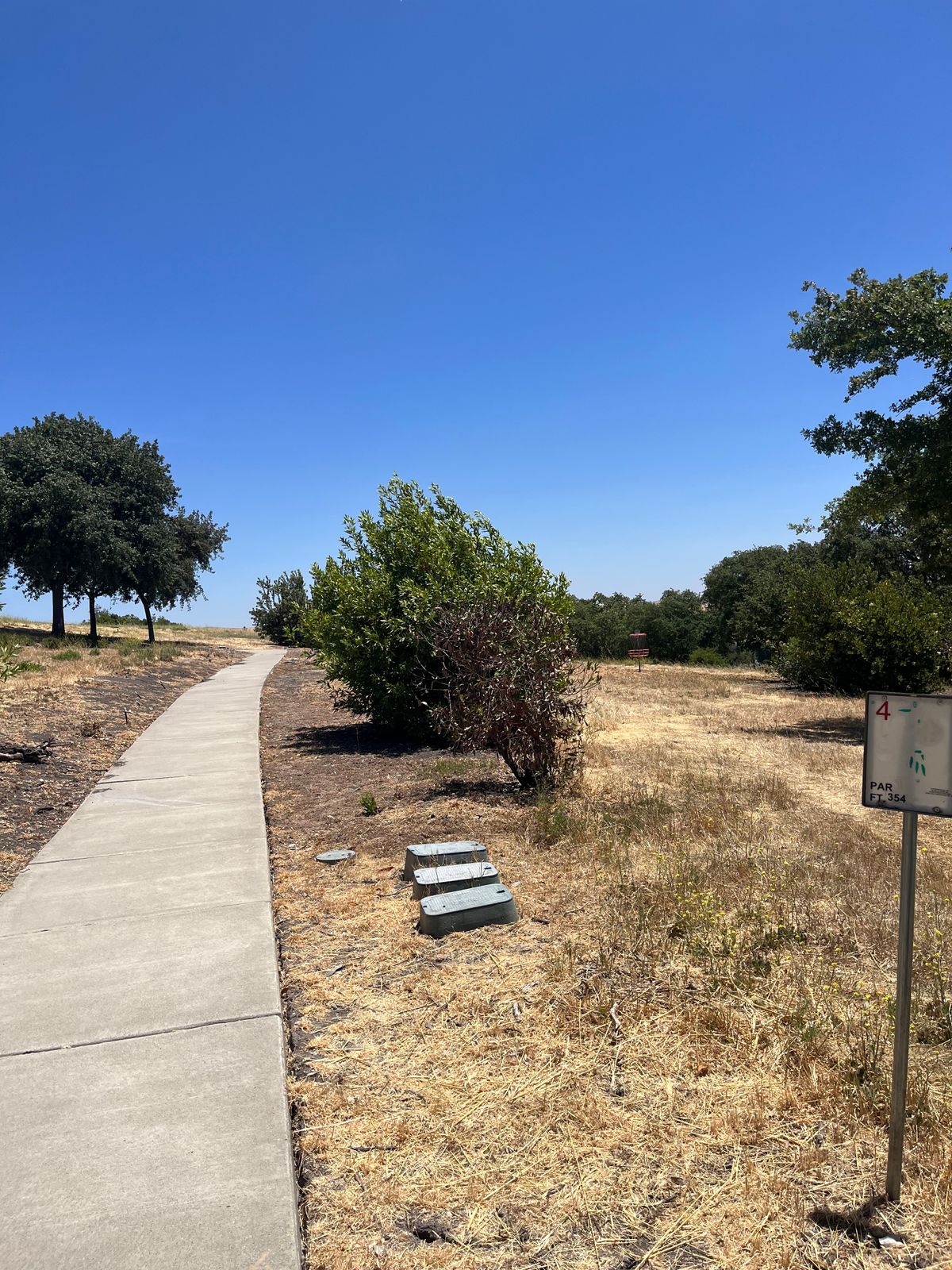 Hole 4 (June 25)